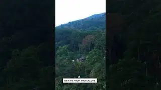 📍 KAKKABE CAMPING, COORG