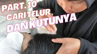 part 10 CARI TELUR DAN KUTUNYA