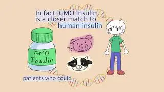 Insulin: A GMO Story
