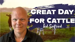 Cattle Market On The Rise? Ted Seifried on RFD-TV