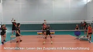 Mittelblocker: Lesen des Zuspiels und Block au&szlig;en