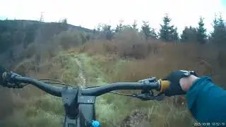 AE Forest off the bucket list 