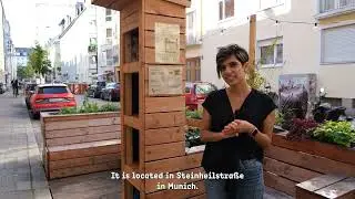 Steinhuber Miniblock (2023) - Introduction 01/03