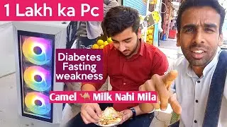 Dr. Suggested me Best Camel Milk Brand For Diabetes
