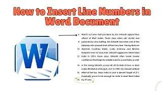 How to Insert Line Numbers in Word Document | (Step-by-Step Tutorial)