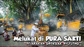 Sembahyang & Melukat Pura Sakti, Pejarakan, Grokgak.