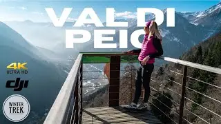 Escursione Invernale a Peio paese: Rifugio Scoiattolo, Malga Covel. Val di Peio, Trentino