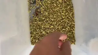 Kakule A&ccedil;ık Ayırıcı - Cardamom Open Separator 3 ASLAN TECHNOLOGY MERSIN TURKEY