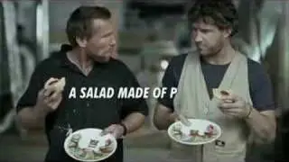 Four'N Twenty Magic Salad Plate