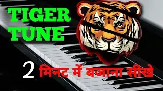 Tiger Tune - Sher Baja - Banjo Dhumal Mucis - Piano Lyrics video #piano #viralvideo #music #tiger