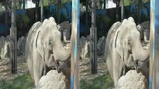 Золото Геленджика 3D - стерео видео (yt3d)