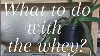 What to do with the WHEY? ||| Cheese making