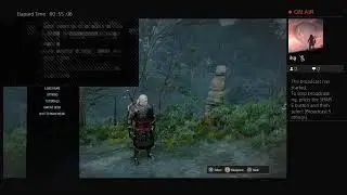 Witcher 3 The Wild Hunt