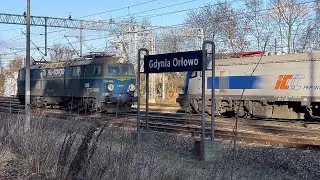 Dwa GRIFFINy i Byk #ET22-1016 PKP CARGO #EU160-029 PKP INTERCITY Gdynia Orłowo