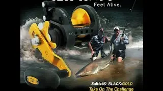 Tackle & Gear - DAIWA Saltist BG Multiplier Reels