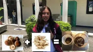 Suplemento pulverizado a base de Pleurotus Ostreatus y Lentinula Edodes