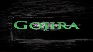 Gojira, Sea Shepherd's New Vessel