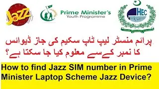 How to find Jazz SIM number in PMLS Jazz EVO
