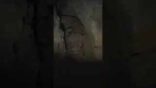 Пещерный Змей забирает моих кур, ммм...🤦&zwj;♂️