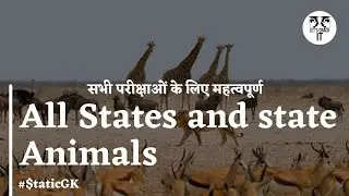 All states and state Animals for government exams in one video | Static GK | Let's Crack IT