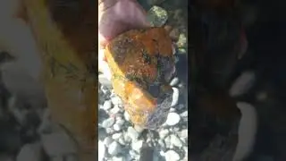 gemstone hunting golden yellow Jaspagate. bukod sa bato Anu pa napansin nyo? comment 👇