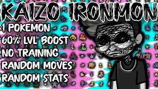 WE NEED A RUNNER !!! THE HARDEST POKEMON CHALLENGE KAIZO IRONMON