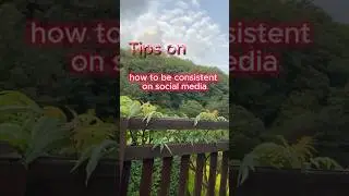 How to be consistent with your social media  presence #socialmediamagic