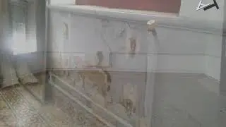 Reforma interior de colegio y gimnasio en Puebla del Maestre (Badajoz)