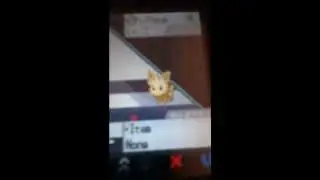 LIVE! Shiny Lillipup after 967 encounters in black!