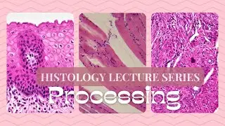 Processing-Histology Lecture Series
