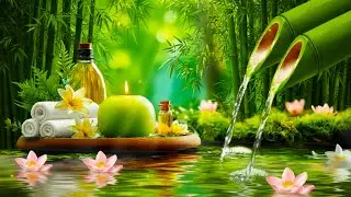 Healing Music for Sleep + Water Sounds 🌿 Calm Nerves & Relax Mind