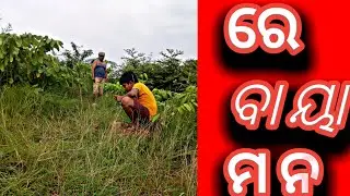 tkm funny video/ ବାପ ପୁଅ କମେଡି👍👍👍👍