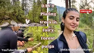 Day 2: Planting Trees in the Enchanted Fairy Forest Pulga (H.P)