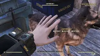 Fallout 76- Adventuring, Stories and quest completing