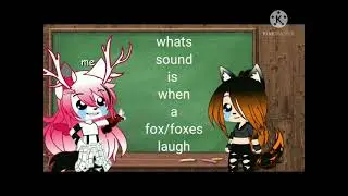 what sound is when a fox/foxes laugh (ft.fox48)
