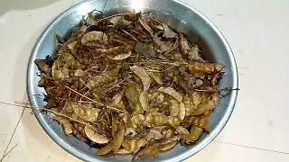 Popti | पोपटी #popti #पोपटी #recipe