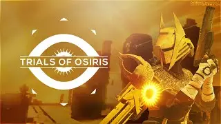 Destiny 2 Cry Bird By Python
