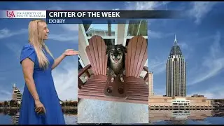 Tuesday Forecast!! Megan Metsch
