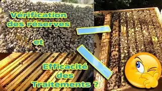 S01E09 V&eacute;rification r&eacute;serves et efficacit&eacute; des traitements | LRSG #Apiculture 2022