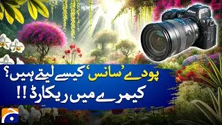 How do plants 'breathe' ? Scientists record it on camera | Geo Digital