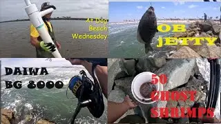 Как накачать креветок-призраков/Лучшая наживка для соленой воды/Рыбалка с причала #sandiegofishing #baitfishing #fishing