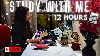 Late Night Study With Me | Rain & Thunder Sounds | Exam Preparation 2025