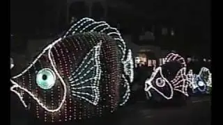 Disney World Christmas Parade of Lights and Fireworks - December, 2002
