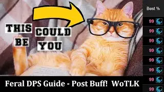 Feral Druid DPS Guide Post Omen Buff