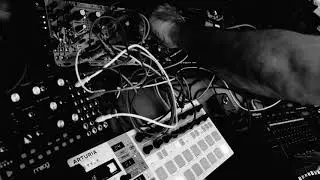 FDMocho - Techno Harvesting #makenoise #mutableinstruments #momo #modular #afterlateraudio