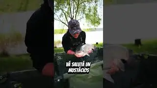 Pescuit la crap/ten #pescuit #bigfish #carpfishing