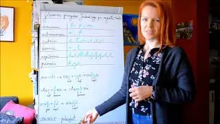 GLASOVNA PROMJENA: Jednačenje po mjestu tvorbe