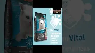 Best Nutrition for Growing Kittens | Aquapet Kenya