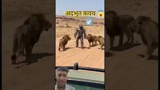 A man with amazing armor fought lions. #viral #tigerspotted #animalattack #wildlife #lion #ankitales