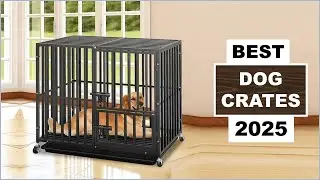 Top 4 Best Dog Crates In [2025]